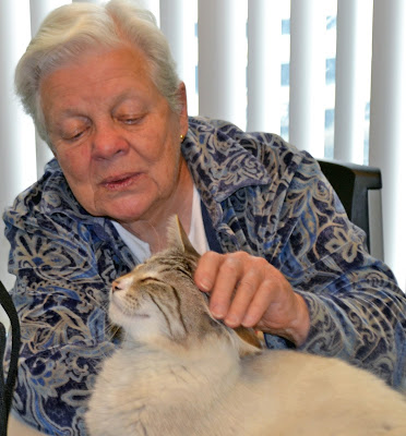 Looking For Old Disabled Seniors In San Antonio