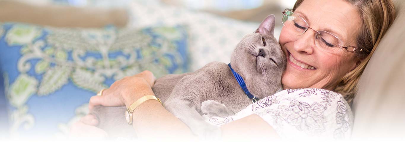 San Antonio Best And Safest Online Dating Site Free Month