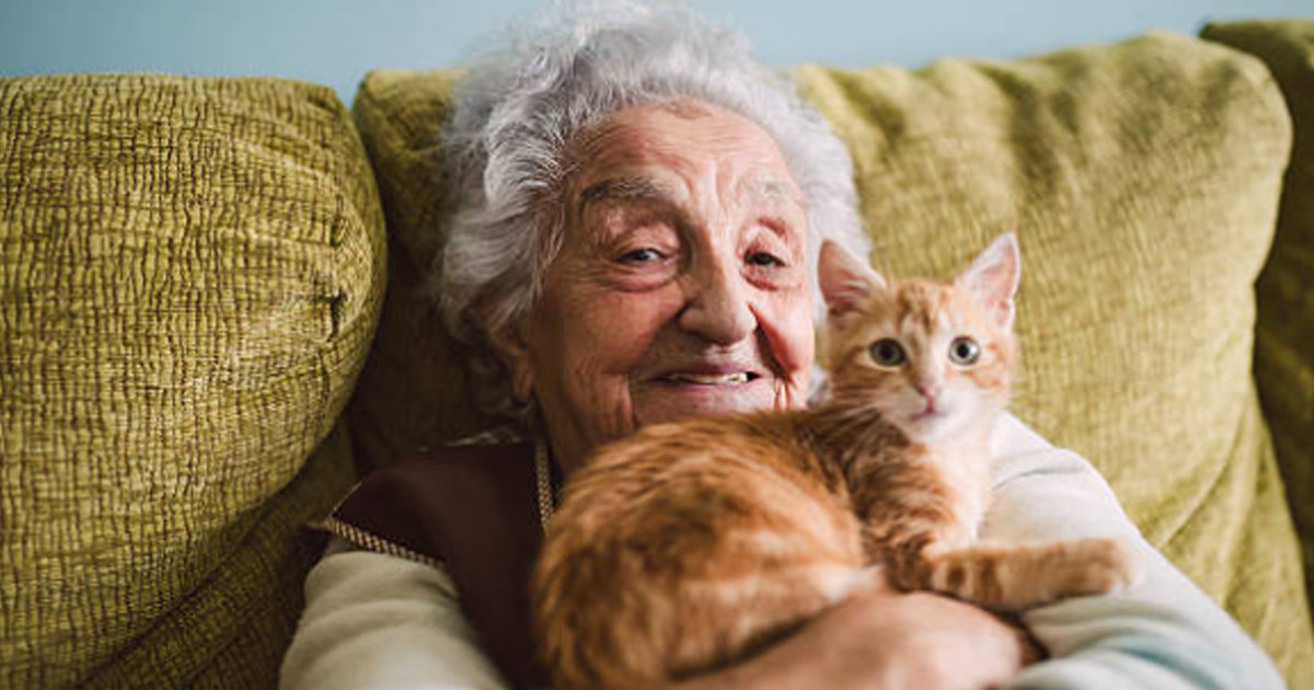 No Money Required Newest Dating Online Service For Men In Canada