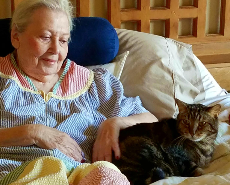 No Credit Card Required Senior Singles Dating Online Services Online Dating Site