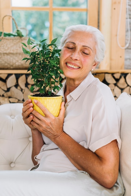 Looking For Older Disabled Seniors In The Uk