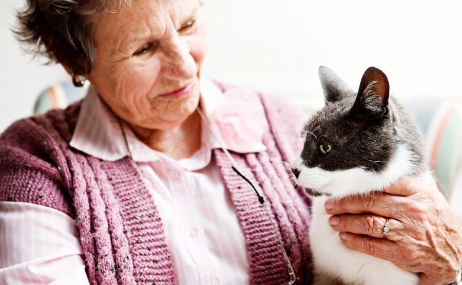 No Credit Card Required Biggest Dating Online Services For Women