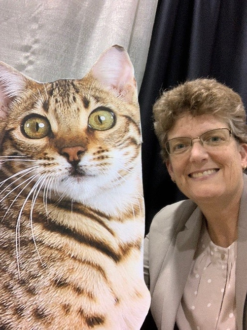 With Free Messaging Best And Most Popular Online Dating Site In Phoenix