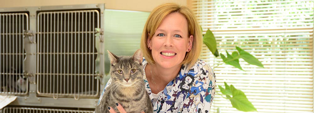 Truly Free Best And Most Popular Dating Online Service For Women In Vancouver