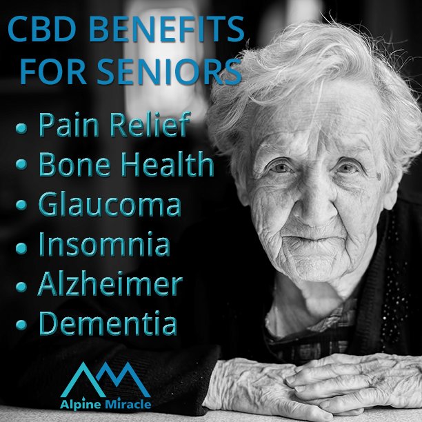 Where To Meet Jewish Singles In Florida Free