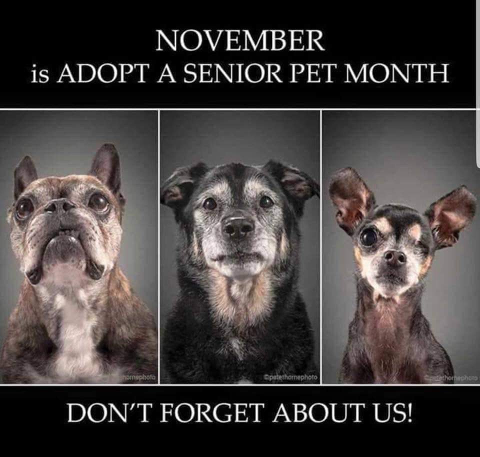 No Charge Dating Online Service For Men