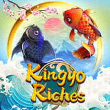 Kingyo-riches