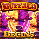 Buffalo-begins