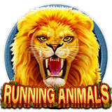 Running-animals