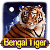 Bengal-tiger