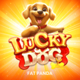 Lucky-dog