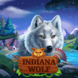 Indiana-wolf