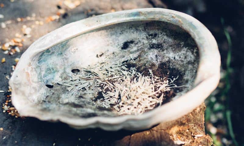 No Credit Card Needed Cheapest Dating Online Websites For Men