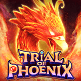 Trial-of-phoenix