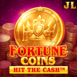 Fortune-coins