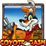 Coyote-cash
