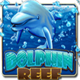 Dolphin-reef