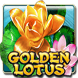 Golden-lotus