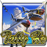 Tally-ho