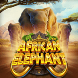 African-elephant