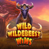 Wild-wildebeest-wins