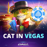 Cat-in-vegas