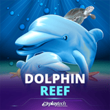 Dolphin-reef