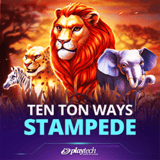 Ten-ton-ways-stampede