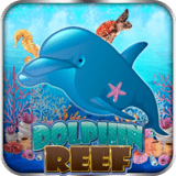 Dolphin-reef