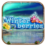 Winterberries