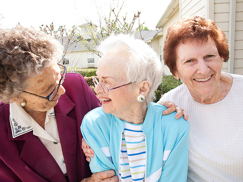 New York Top Rated Online Dating Website No Money Needed