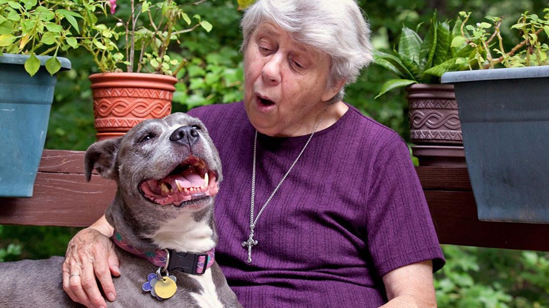 Africa Best And Most Popular Online Dating Websites Free Search