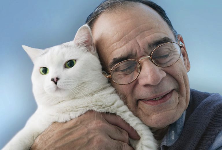 Where To Meet Indian Singles In Los Angeles