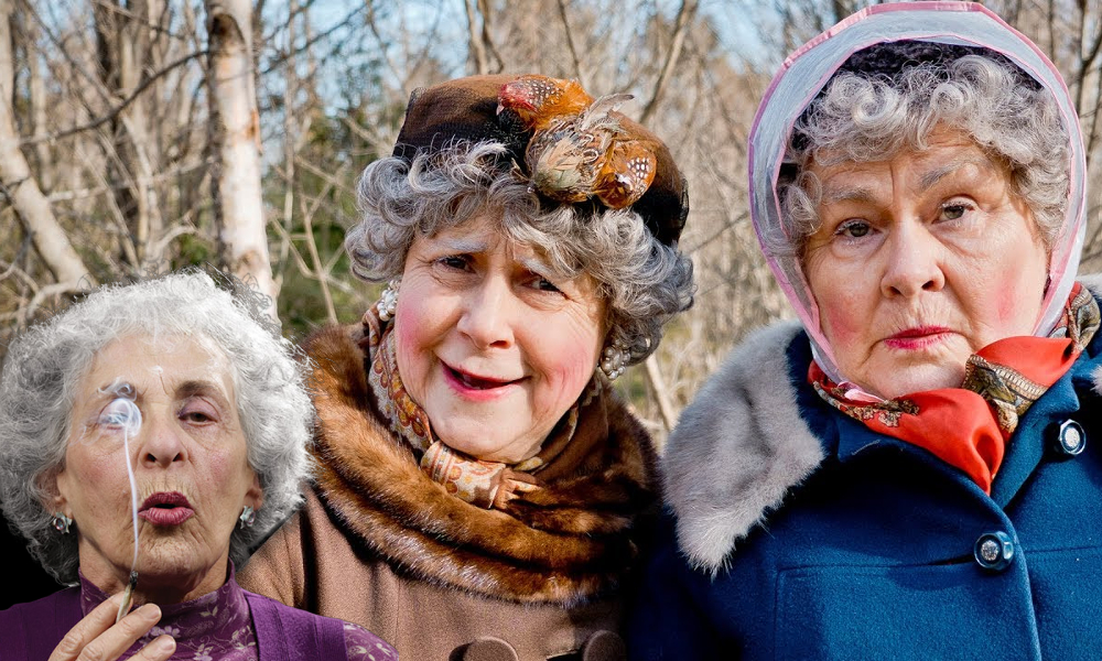 Looking For Old Disabled Seniors In The Usa